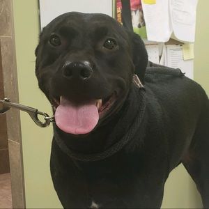 Meet your Posher, Anne